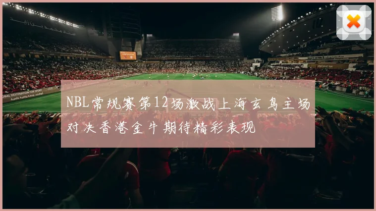 NBL常规赛第12场激战上海玄鸟主场对决香港金牛期待精彩表现