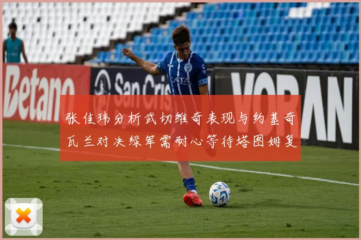 张佳玮分析武切维奇表现与约基奇瓦兰对决绿军需耐心等待塔图姆复出