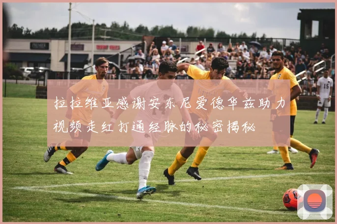 拉拉维亚感谢安东尼爱德华兹助力视频走红打通经脉的秘密揭秘