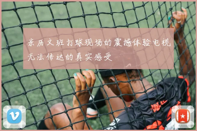 亲历文班打球现场的震撼体验电视无法传达的真实感受