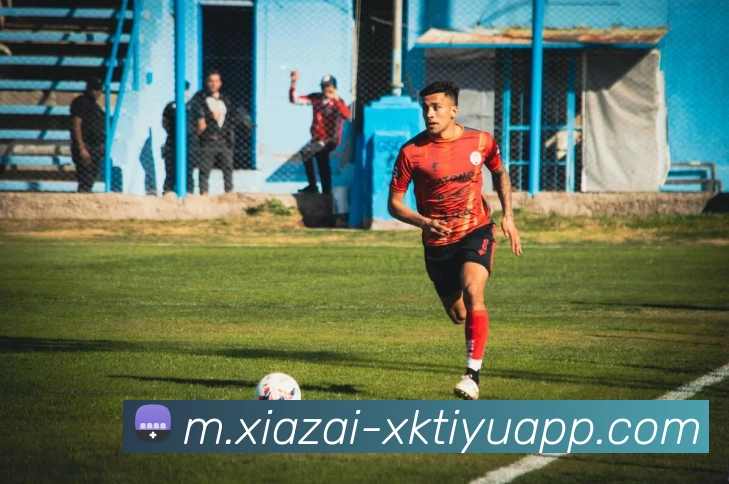 星空体育平台生态图