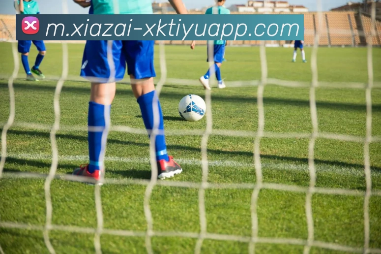 星空体育APP 封面图