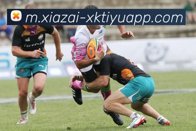 数据防护可视化